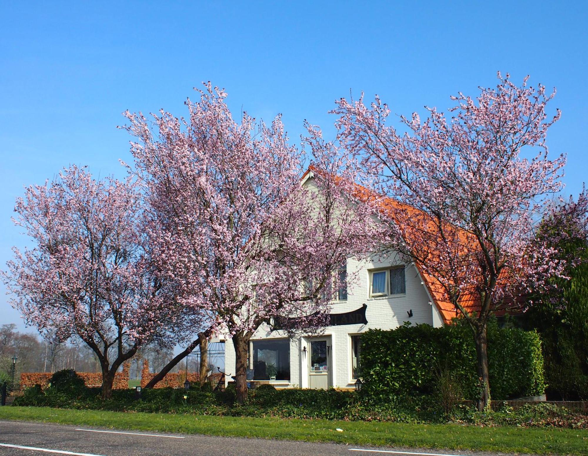 B&B Sagenland Harbrinkhoek Esterno foto